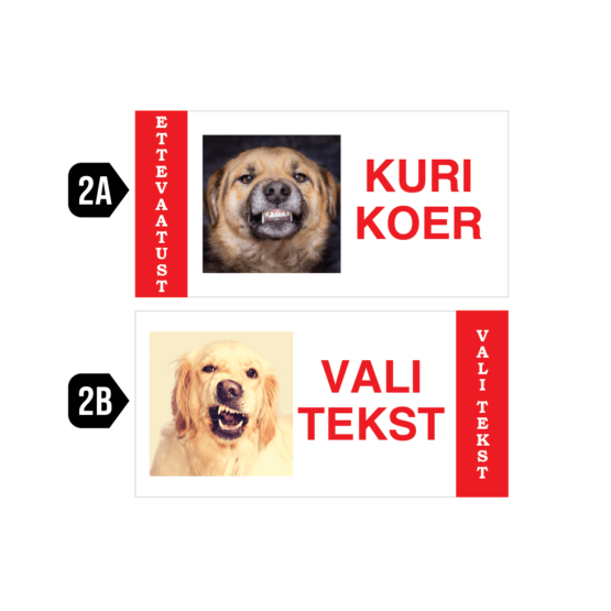 kuri koer