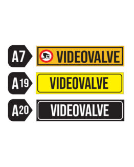 Videovalve